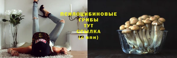 герыч Верея