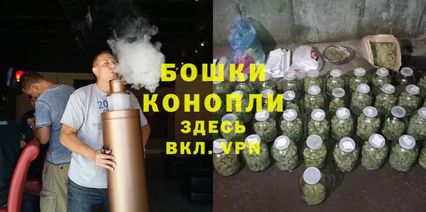 стафф Бородино