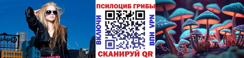Галлюциногенные грибы Magic Shrooms  Купить где  Гудермес 